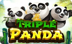 Triple Panda Slots Game