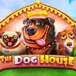 The Dog House